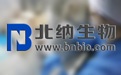 【菌种保藏中心www.bnbio.com】肠侵袭性大肠埃希氏菌