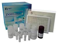 现货供应羊布鲁氏菌病抗体（Brucella）检测试剂盒（ELISA）