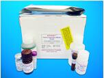 Proline dehydrogenase 1, mitochondrial (PRODH) ELISA kit, Human
