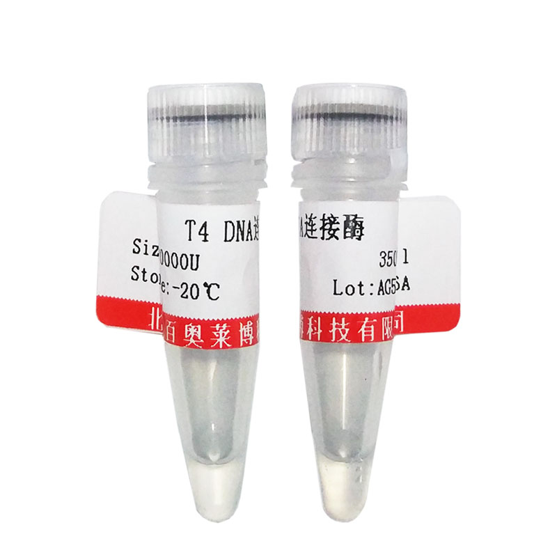北京HER1和HER2高效抑制剂(BMS-599626 Hydrochloride)说明书
