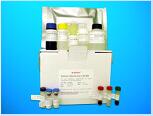 Prostaglandin E synthase 3 (PTGES3) ELISA kit, Human产品图
