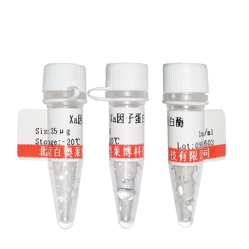 生物素标记HIF-1α凝胶迁移探针(0.2μM)北京价格