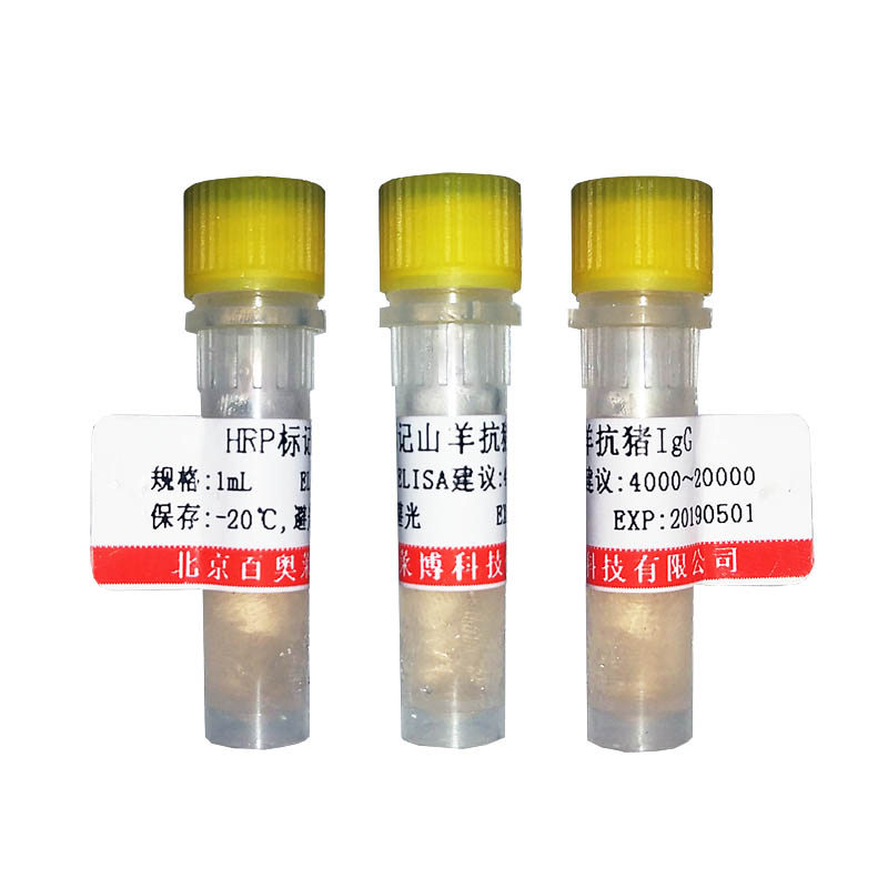 YT661型磷酸化CENP-A(Ser7位点)抗体北京厂家