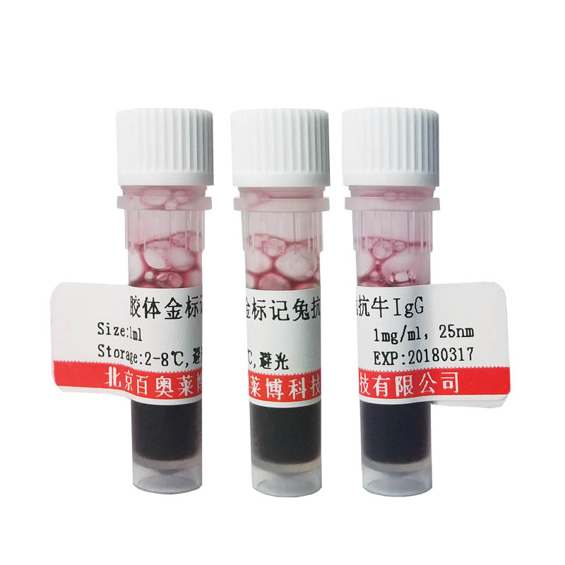 北京YT811型IRS1抗体(胰岛素受体底物1抗体)厂商