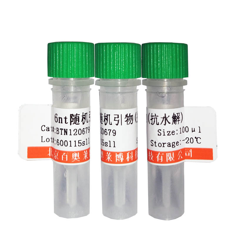 GL1473型Triton X-100细胞裂解液现货供应