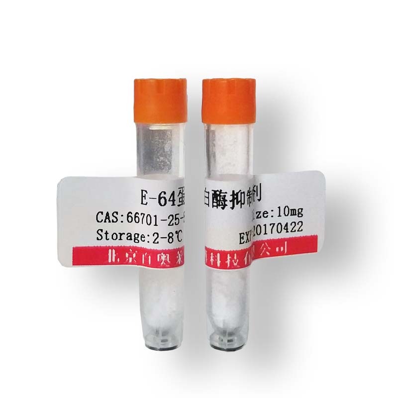 Sorensen磷酸缓冲液(10×,pH6.2) 免疫检测