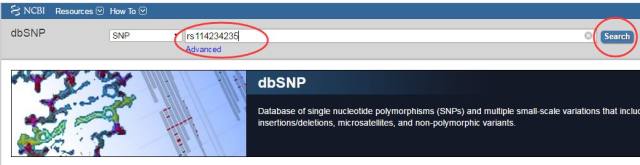 SNP 序列查询 SOP