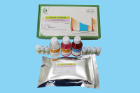 胃蛋白酶原Ⅰ/Ⅱ（PGⅠ/Ⅱ）时间分辨荧光免疫试剂盒