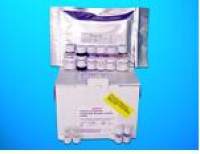 Total Antioncogene P53 Protein ELISA Kit, Human