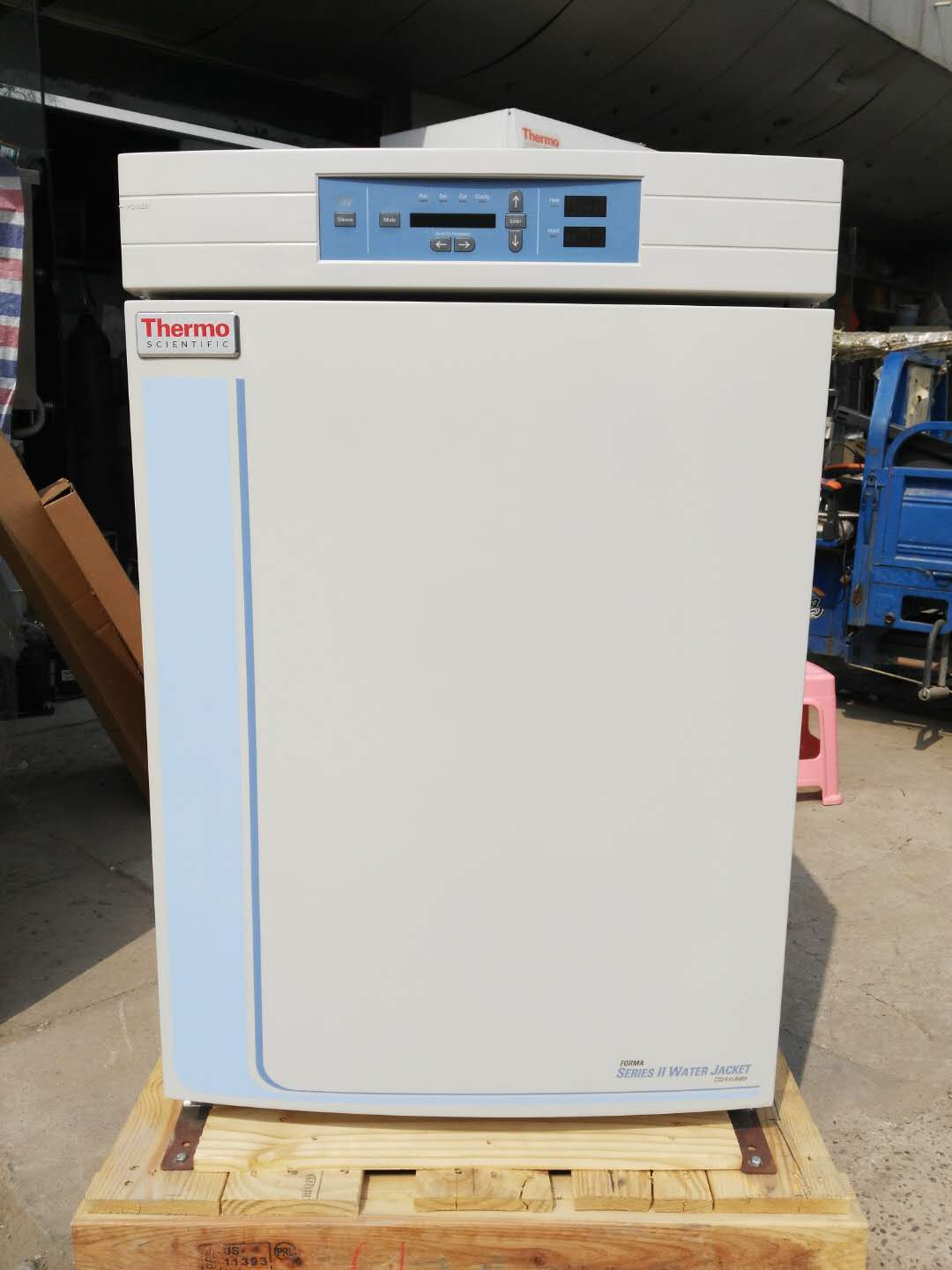 Thermo 3131培养箱