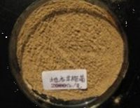 产氨短杆菌培养