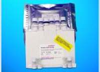 Steroid 17-alpha-hydroxylase/17, 20 lyase (CYP17A1) ELISA Kit, Human
