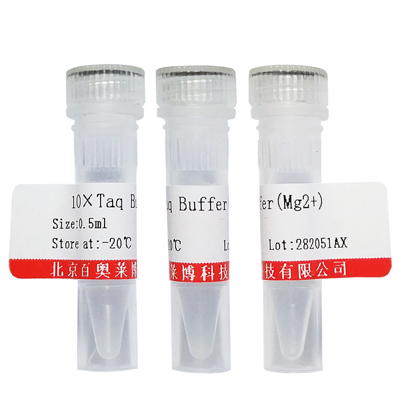 酵母RNA厂商产品图