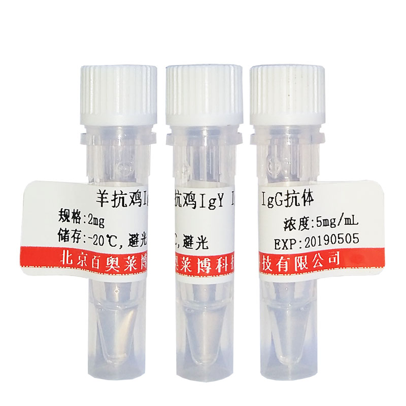 北京现货K25044型Sulfite oxidase抗体销售