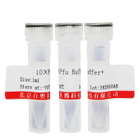 Tma 核酸内切酶 III 工具酶