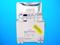 1, 5-anhydro-D-fructose reductase (AKR1CL2) ELISA Kit, Human