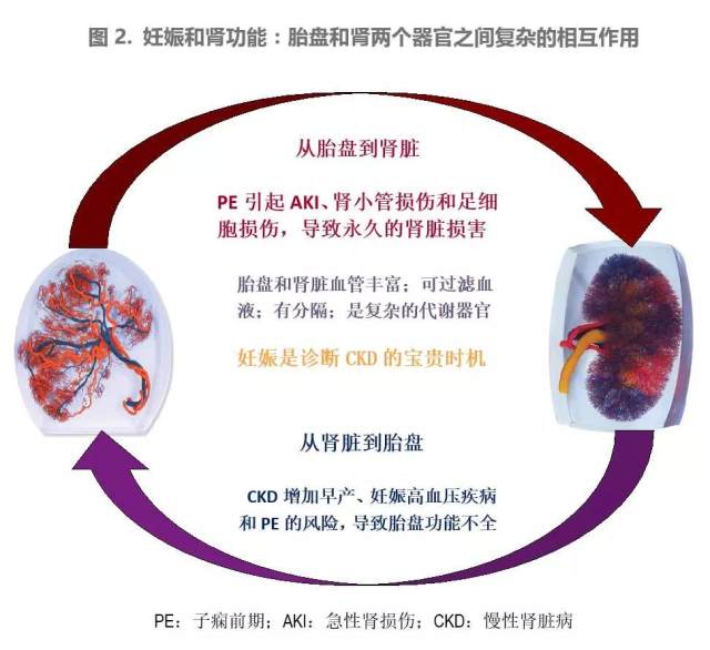 关爱女性与肾脏病 我们在行动 丁香园