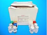 2-amino-3-carboxymuconate-6-semialdehyde decarboxylase (ACMSD) ELISA Kit, Human
