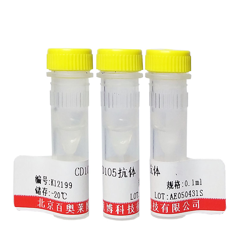 北京现货磷酸化Afadin (Ser1721)抗体库存