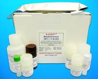BDNF/NT-3 growth factors receptor (NTRK2) ELISA Kit, Human