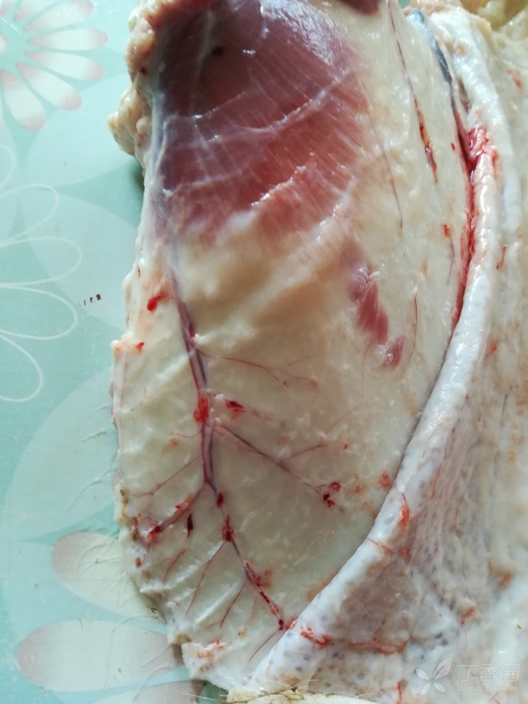 猪耳的血管 2018-05-04 21:21   关注      看看猪耳的血管,尤其是