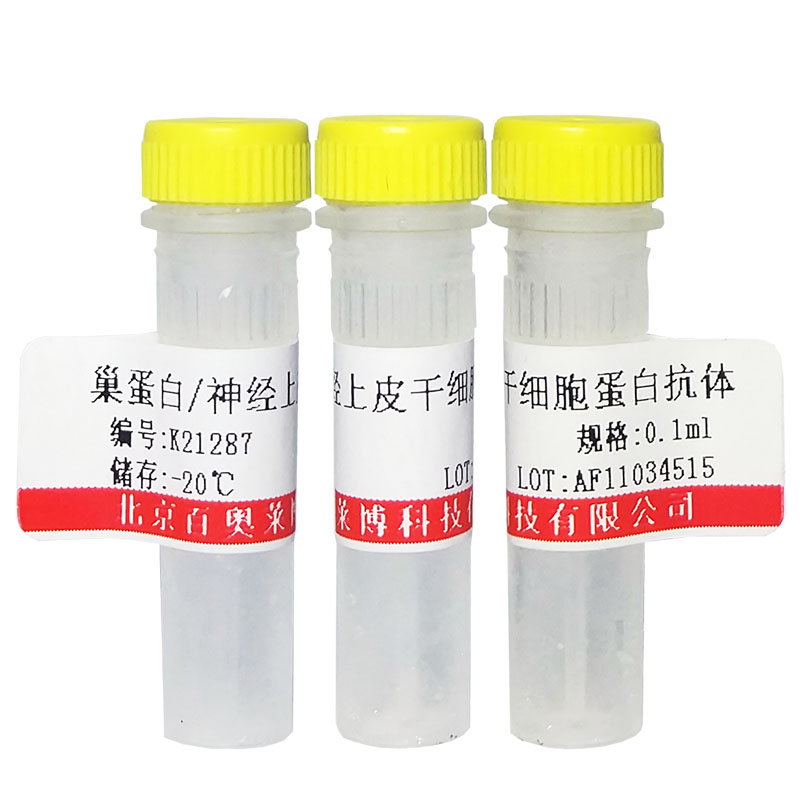 北京现货磷酸化Bik(Thr33)抗体(国产,进口)