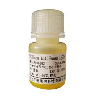 北京现货CHD1L抗体优惠