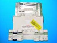 Apolipoprotein L5 (APOL5) ELISA Kit, Human