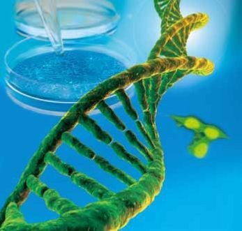 默克携手 Roche 为您解析理想的转染试剂（内含给力促销）