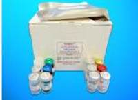 Apolipoprotein L4 (APOL4) ELISA Kit, Human