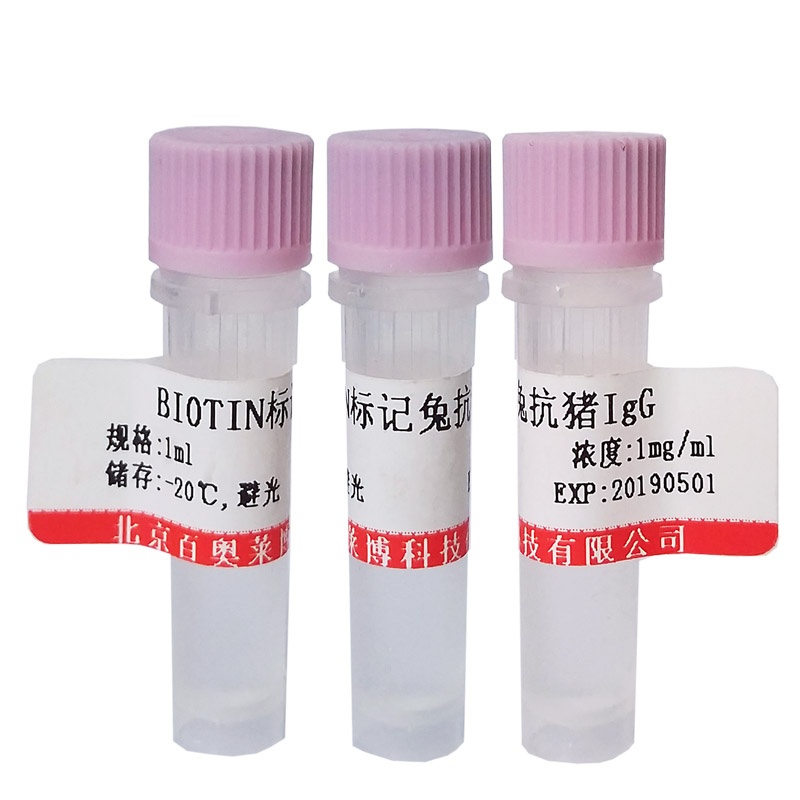 K17460型乙酰化组蛋白H2A抗体特价优惠