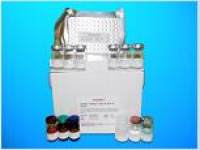 Arylsulfatase D (ARSD) ELISA Kit, Human