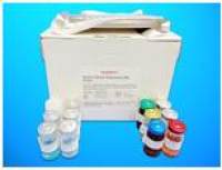 ATP synthase mitochondrial F1 complex assembly factor 2 (ATPAF2) ELISA Kit, Human