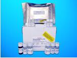 Apotransferrin ELISA Kit (ApoTf), Human