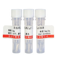 PCDHGA9抗体现货供应