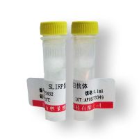 北京磷酸化BNIP3 (Ser95)抗体多少钱