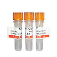 北京现货磷酸化APBB1 (Ser347)抗体供应