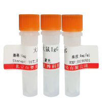 ACN9抗体库存