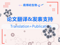 论文翻译，语言润色快速刊登支持