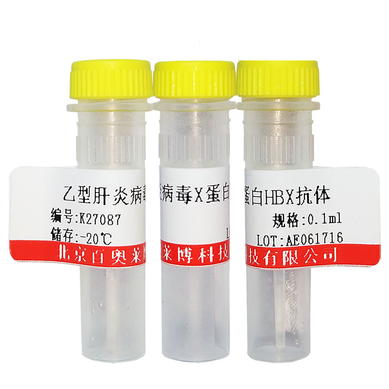 北京ABHD15抗体现货供应
