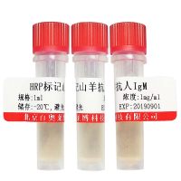 北京基尔曼氏细小病毒VP1/VP2,大鼠潜在病毒KRV抗体厂家价格