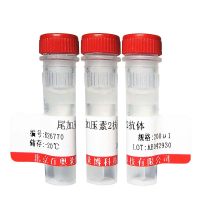 PRRSV抗体特价优惠