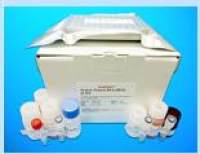 Creatine Phosphate ELISA Kit (CP), Human