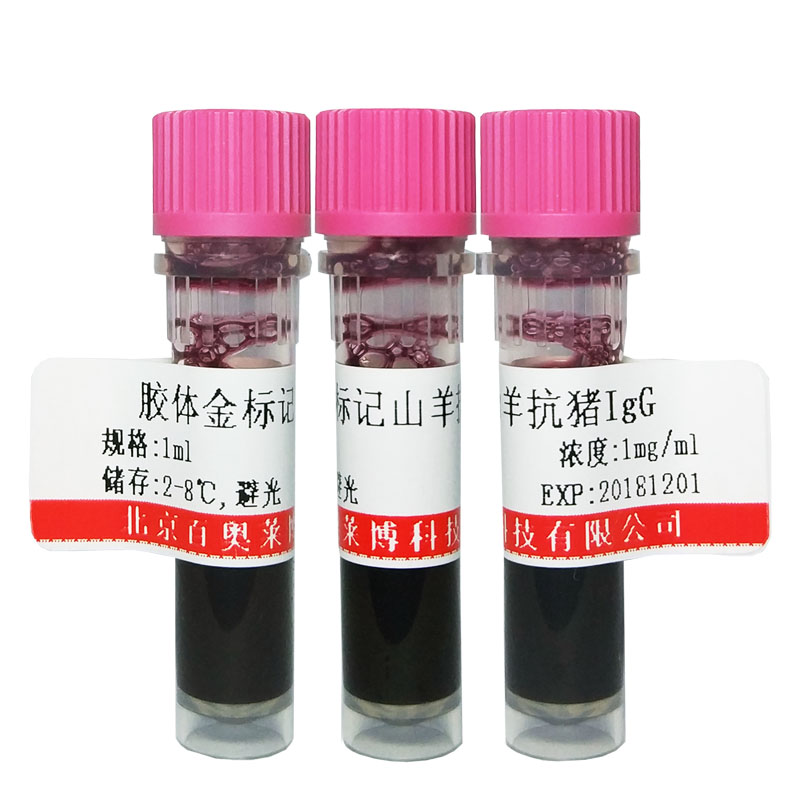 北京K28046型磷酸化核突触蛋白α抗体厂家价格
