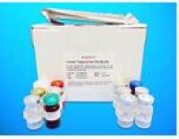 CpG oligodeoxynucleotide ELISA Kit (CpG-ODN), Human