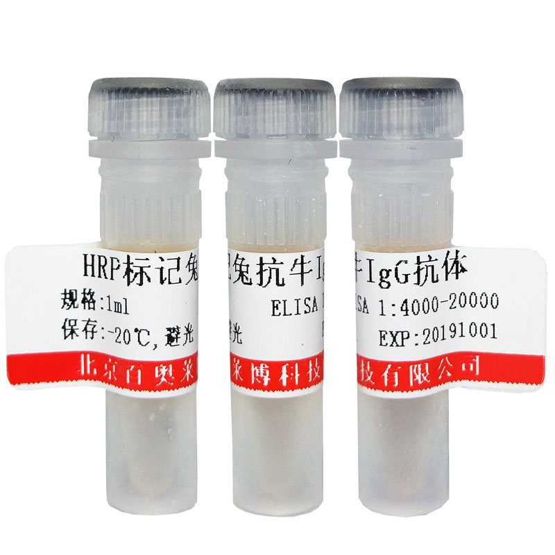 北京现货NFIX抗体厂家直销