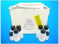 Cardiolipin Synthase ELISA Kit (CLS), Human
