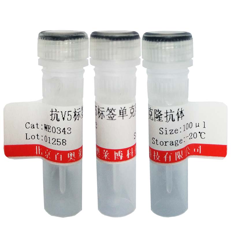 北京Cytochrome P450 2D1抗体优惠促销