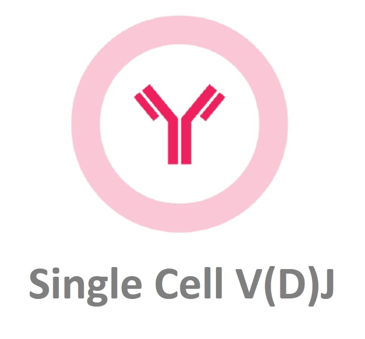 10x Genomics Chromium單細胞免疫譜測序
