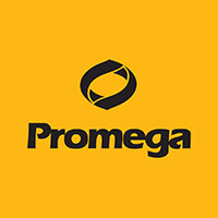 ProMega-Markers® Lambda Ladders，40–60 lanes